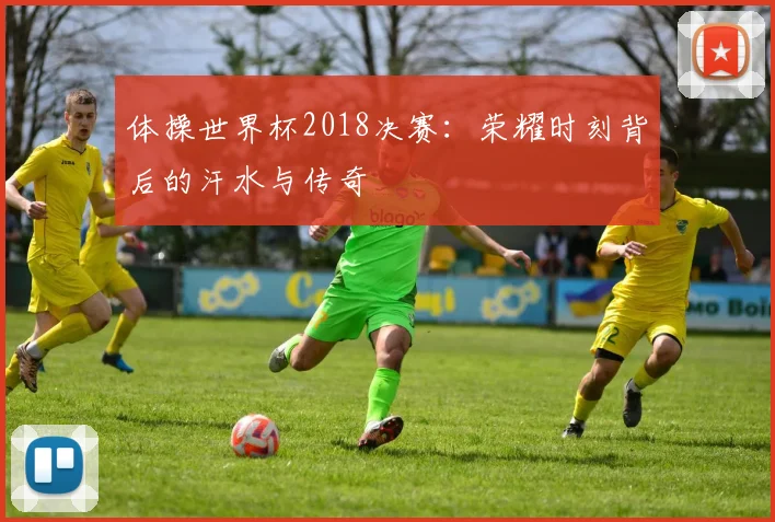 体操世界杯2018决赛：荣耀时刻背后的汗水与传奇