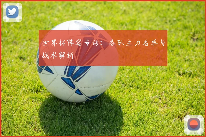 世界杯阵容专访：各队主力名单与战术解析