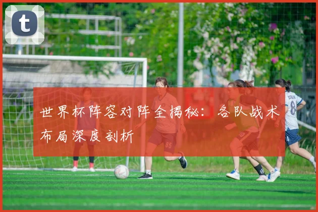 世界杯阵容对阵全揭秘：各队战术布局深度剖析