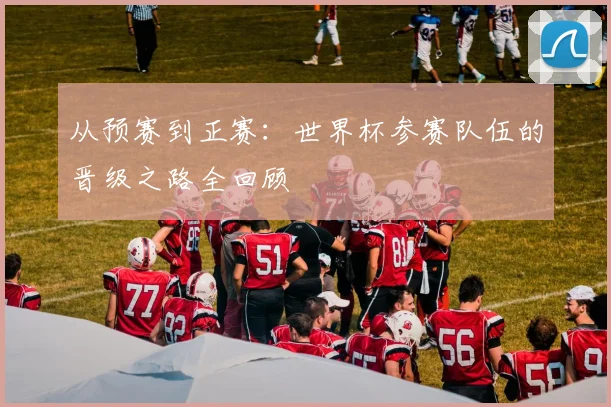 从预赛到正赛:世界杯参赛队伍的晋级之路全回顾