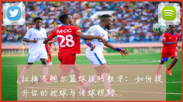 拉梅洛鲍尔篮球技巧教学:如何提升你的控球与传球视野