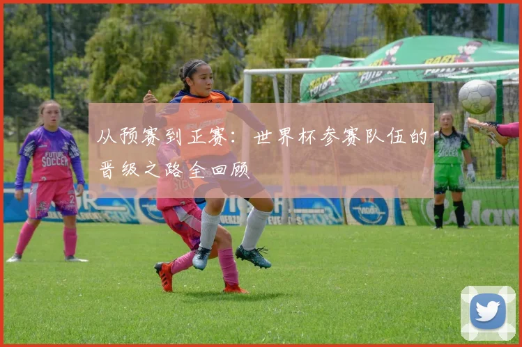 从预赛到正赛:世界杯参赛队伍的晋级之路全回顾