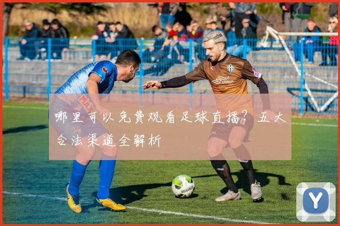 哪里可以免费观看足球直播?五大合法渠道全解析