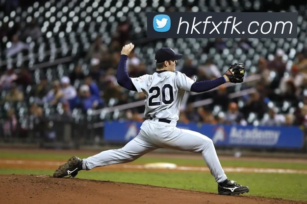 mksports在线登录入口服务体系